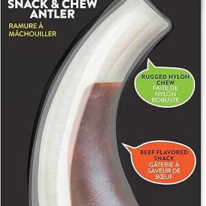 Spunky Pup Nylon Antler Chew Toy