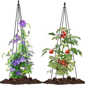 Lalahoni 2 Pack Garden Trellis for Climbing Plants Outdoor Indoor Pot | 67inch Tall Support for Climbing Vines Vegetables Plants | Garden O…