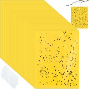Qualirey 100 Pcs Double-Sided Sticky Traps