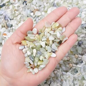 Succulent and Cactus Bonsai DIY Rocks, Jade Bean Pebbles, Natural Decorative Polished Stones Vase Fillers Gravel for Plants,Terrarium, Fair…