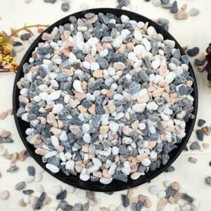 2LB Succulent and Cactus Gravel Pebbles, 1/5 Inch Natural Decorative Polished Stones, River Rocks for Vases, Aquariums, Terrarium and Outdo…