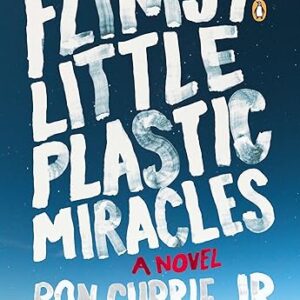 Flimsy Little Plastic Miracles: A Novel