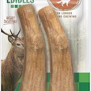 Nylabone Wild Antler Venison Dog Chews