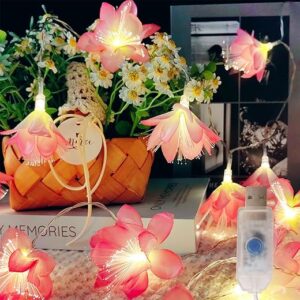 Pink LED Flower String Lights,16.5ft 30 LED Flower Fairy String Light ,USB Plug Fairy Lights for Bedroom, Valentines Day, Holiday, Partry, …