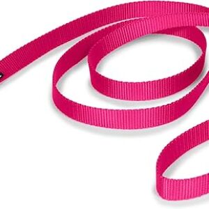 PetSafe Durable Nylon Dog Leash, 6 ft
