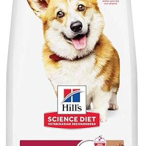 Hill’s Science Diet Adult Lamb & Rice Dog Food