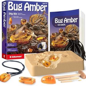 Amber Dig Kit – 6 Artificial Insect Resin Specimens, Bugs Fossil Excavation Set with Natural Amber, STEM Inspired Educational Toy for Kids …