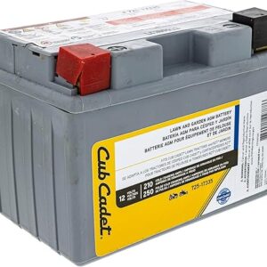 CUB CADET 725P17335 Battery 210cca 11AHR Ultima ZT1 ZT2 ZTS1 ZTS2 ZTX4 ZTX5 ZTX6