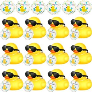 Chivao 12 Pcs Mini Rubber Ducks with Sunglasses/ Glasses and Hats/ Necklace, Cruise Rubber Ducks in Bulk Valentine‘s Day Gift Small Bathtub …