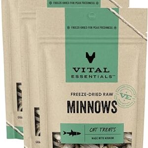 Vital Essentials Freeze Dried Raw Single Ingredient Cat Treats, Minnows, 1 oz (Pack of 3)