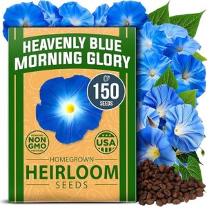 Heavenly Blue Morning Glory Heirloom Seeds