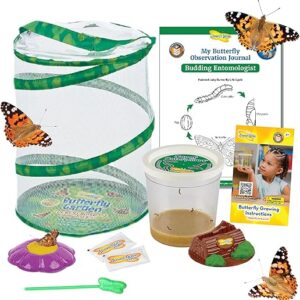 Insect Lore Butterfly Garden | 5 Live Baby Caterpillars | Habitat, Feeder, Chrys-A-Lid Log, STEM Journal Included | Raise and Release Painte…