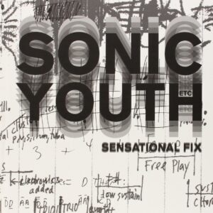 Sonic Youth: Sensational Fix