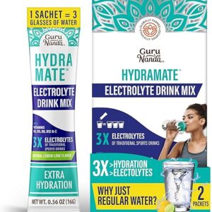GuruNanda Hydramate Electrolyte Drink Mix – 2 Count