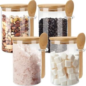 4-Pack Glass Sugar Containers with Spoon