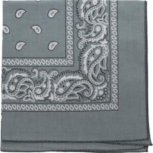 22 Inch Cotton Paisley Bandana
