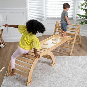 Avenlur Hazel 5-in-1 Indoor Climbing Gym