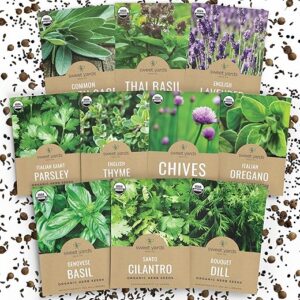 Organic Herb Seeds Variety Pack – 10 Individual Packs – 2025 Season – Basil, Cilantro, Dill, Thyme, Parsley and More! for Indoor & Outdoor …