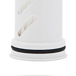 LifeStraw Home Replacement Microfilter & Carbon Filter