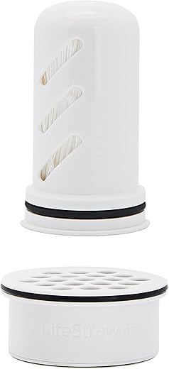 LifeStraw Home Replacement Microfilter & Carbon Filter