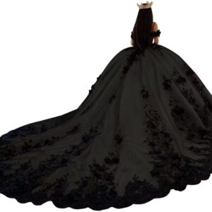 Ftupza Floral Tulle Quinceanera Dresses Ball Gown with Black Appliques Off Shoulder Sweet 16 Dresses Beaded Party Gown