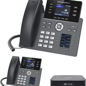 Hello Hub Small Business PBX Phone System and Service VOIP 2-Phone Bundle (Hello Hub + 2 Executive Phones with WiFi + Bluetooth) ring-u Tel…