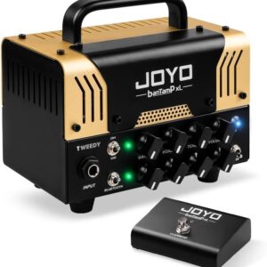 JOYO Tweedy BanTamp XL Series Mini Amp Head 20 Watt Preamp 2 Channel Hybrid Tube Guitar Amplifier Head for Electric Guitar with Bluetooth