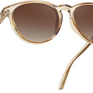 Classic Round Polarized Sunglasses for Women Retro Shades Trendy Vintage Sun Glasses FZN825