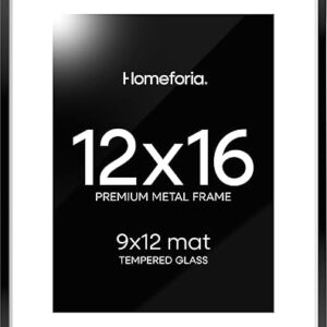 Homeforia 12×16 Picture Frame Black, High End Metal 12×16 Poster Frames with Mat 9×12 for Photo, 12 x 16 Black Frame Matted to 9 by 12 inch…