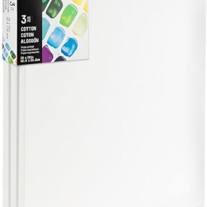 Liquitex BASICS Canvas, 3 pack, 16″ x 20″