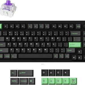 P1 HE 75% Wireless Custom Mechanical Gaming Keyboard with Gateron Double-Rail Magnetic Switches Full Assembled Knob Version – Black