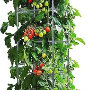 LINEX Raised Garden Bed Planter Box with Trellis, 67.6” Tomato Planters for Climbing Plants Vegetable Vine Flowers Outdoor Patio, Tomatoes …