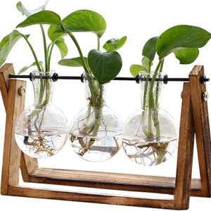 XXXFLOWER Plant Terrarium with Wooden Stand, Air Planter Bulb Glass Vase Metal Swivel Holder Retro Tabletop for Hydroponics Home Garden Off…