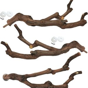 kathson Natural Parrot Perch Bird Stand Pole Wild Grape Stick Paw Grinding Fork Parakeet Climbing Standing Branches Toy Chewable Cage Acces…