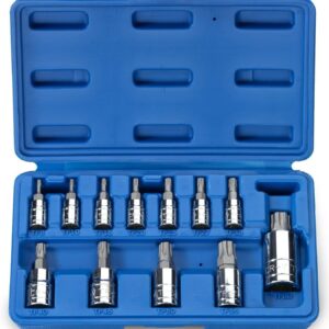 Neiko 10086A 6 Point Torx Plus Bit Socket Set, 1/4-Inch, 3/8-Inch and 1/2-Inch Drive, TP8 – TP60, 12-Piece
