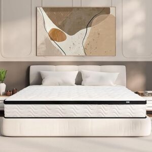 Queen Mattress 12 Inch | Hybrid Mattresses Queen Size in a Box | Medium Firm Memory Foam and Individual Pocket Springs | Fiberglass Free Be…