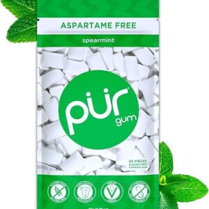 PUR Gum | Aspartame Free Chewing Gum | 100% Xylitol | Natural Spearmint Flavored Gum, 55 Pieces (Pack of 1)
