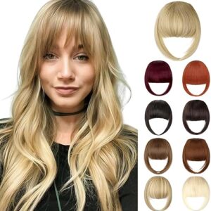 Bangs Hair Clip in Bangs Hair Extensions French Bangs Clip on Bangs Fake Bangs Clip in With Temples Hairpieces for Women Natural Daily Wear