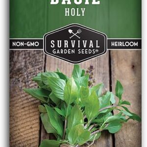 Survival Garden Seeds – Holy Basil Seed for Planting – Packet with Instructions to Plant and Grow The Indian Sacred Herb Tulsi in Your Home…