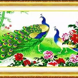 Rosyfoxes Cross Stitch Kits Stamped Full Range of Embroidery Starter Kits for Beginners DIY 11CT 3 Strands -Printed kit Peacock with a Brig…