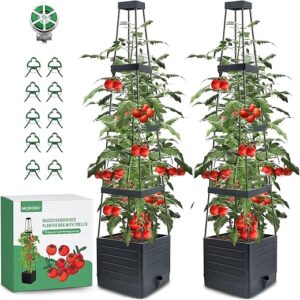 MQFORU 2 Packs Raised Garden Bed Tomato Planter with Trellis, 57″ Tomato Cages for Climbing Vegetables Plant, Self Watering Planters Box fo…