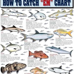 How to Catch ‘Em Saltwater Fish Identification #1 – Waterproof Quick Reference Guide | Portable & Built to Last | Double-Sided & Easy to Re…