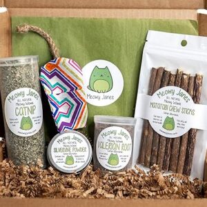 Catnip Alternative Variety Box with Handmade Refillable Mouse Toy – Catnip, Valerian Root, Silvervine Powder, Matatabi Sticks – Cat Toy and…