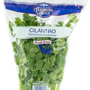 Tanimura & Antle, Cilantro, 1 Each