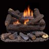 Duluth Forge DLS-18T-2 Dual Fuel Ventless Fireplace Logs Set with Thermostat, Use with Natural Gas or Liquid Propane, 30000 BTU, Heats up t…