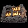 HearthSense VFL18M Dual Fuel Ventless Fireplace Logs Set with Manual Control, Use with Natural Gas or Liquid Propane, 30000 BTU, Heats up t…